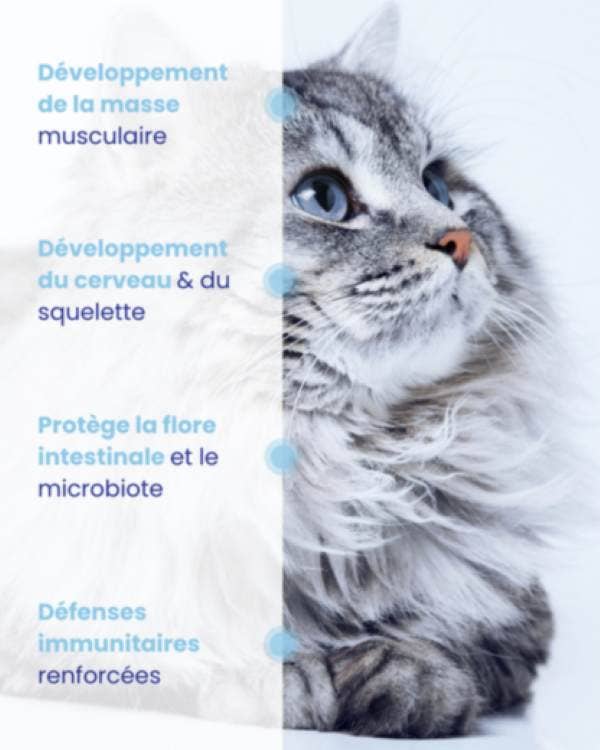 LAPSA - Vendita all&#x27;ingrosso Cibo - Gatti - Lapsa - Mousse Gatto Peso Controllato (ONP) - Pesce Bianco - 24x85g2