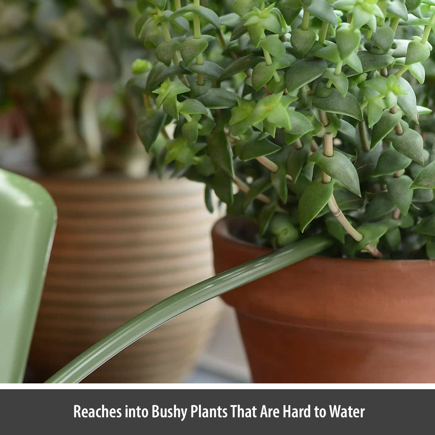 Wholesale Gifts Tomorrow - Wholesale Watering Can - Indoor Watering Can (Sage Green) (1.1 litre) Coated Steel5