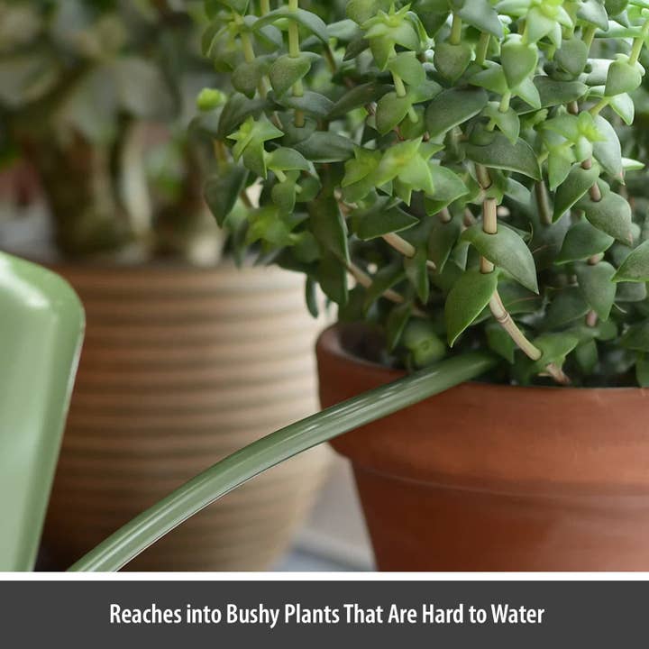 Wholesale Gifts Tomorrow - Wholesale Watering Can - Indoor Watering Can (Sage Green) (1.1 litre) Coated Steel5