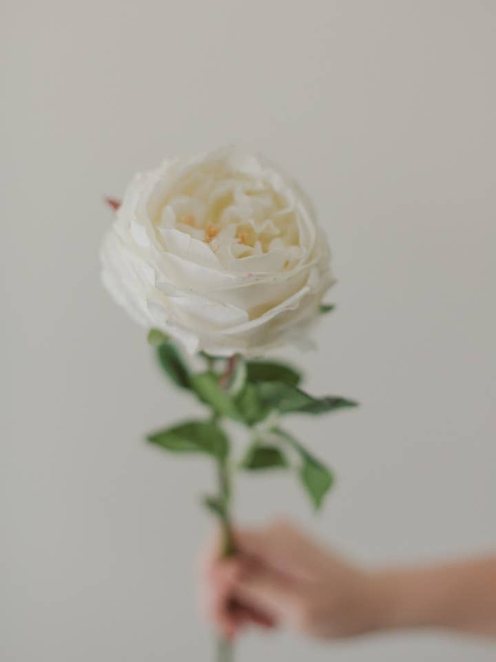 Rose blanche Real Touch pour la vente par Eucalypt Co.