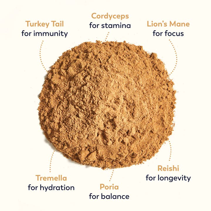 Rasa - #1 in Functional Adaptogens - Wholesale Hot Cocoa Mix/Kit - Rasa Magnificent Mushrooms | Super-Potent Mushroom Boost3