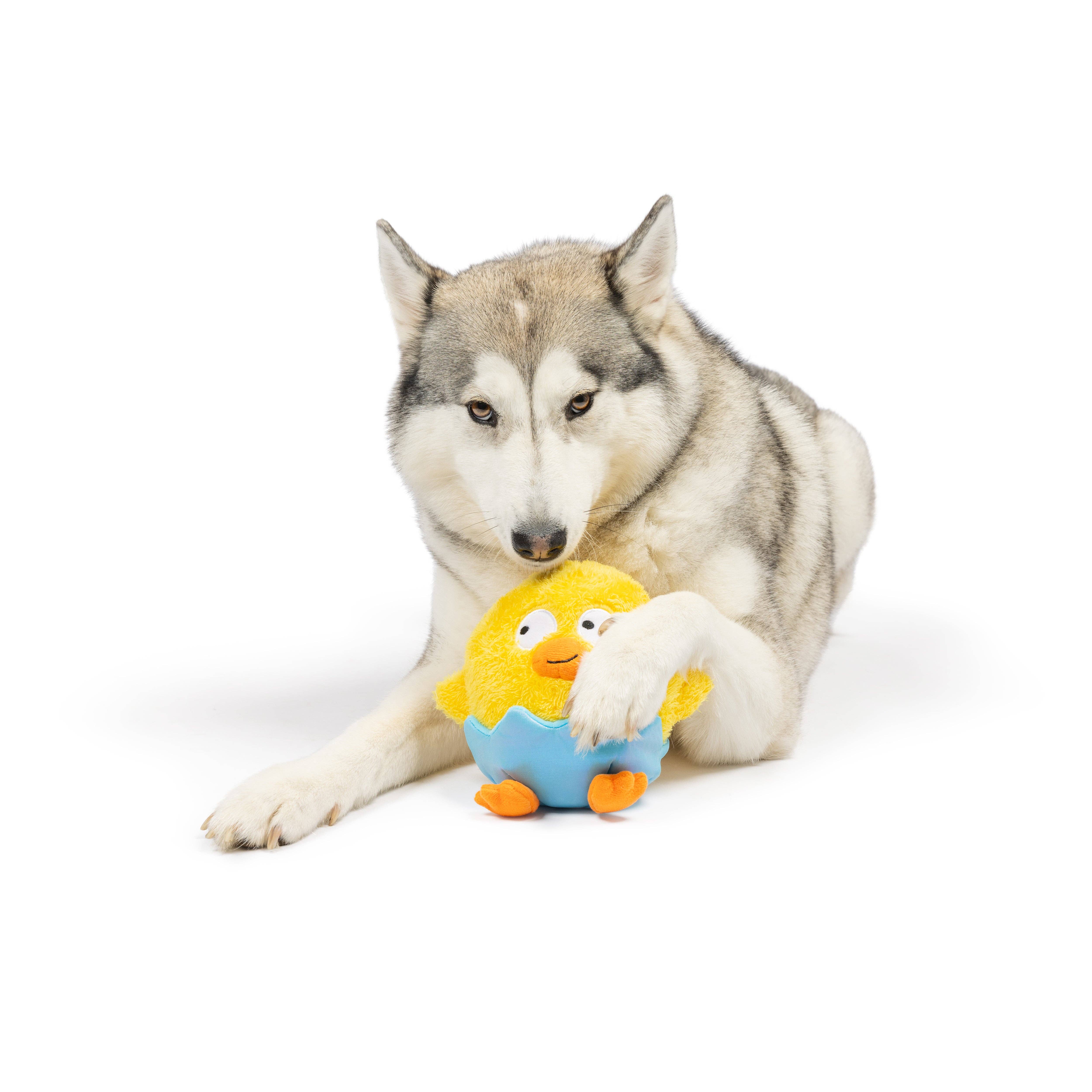 Huxley & Kent - Vente Peluche – chien - Jouet pour chien Chick-A-Dee4