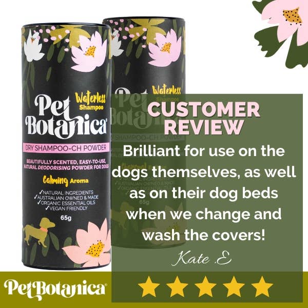 Pet Botanica - Wholesale Pet Grooming Aid - Dog - Dry Shampoo for Dogs | with Charcoal | Waterless Wash 6