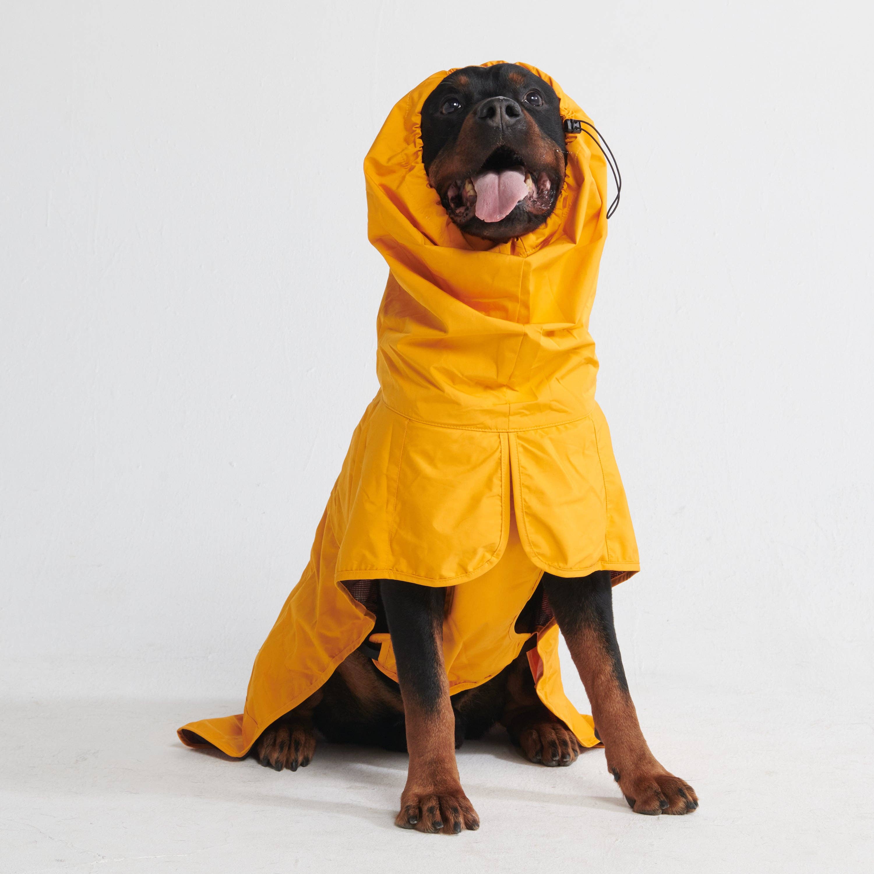 Spark Paws - Wholesale Pet Raincoat - Dog - Breatheshield™ Dog Raincoat - Mustard Yellow2