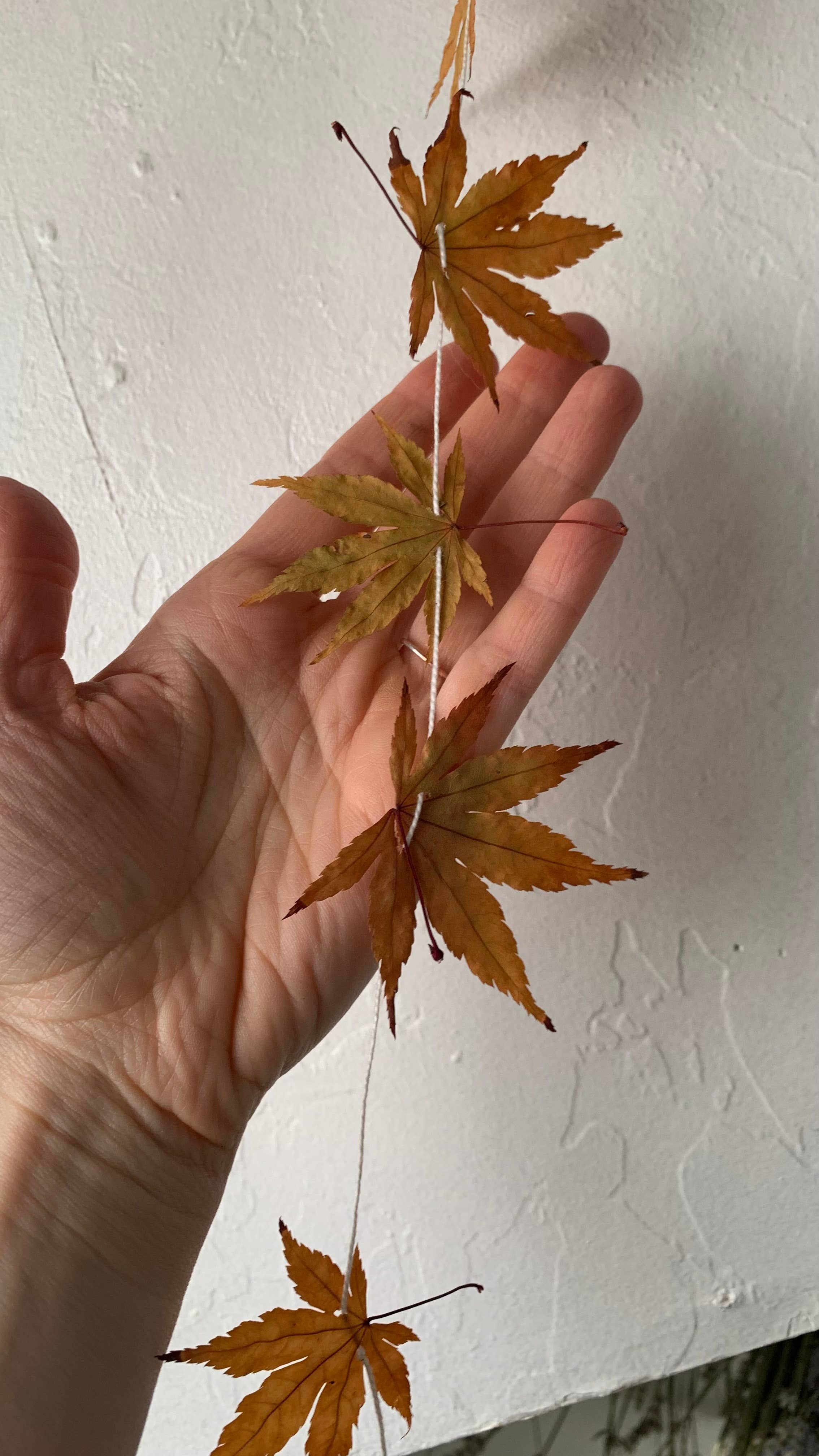 Twig and Snip - Wholesale Bunting/Garland - Dried Mini Japanese Maple Leaf Garland - Reds and Browns2