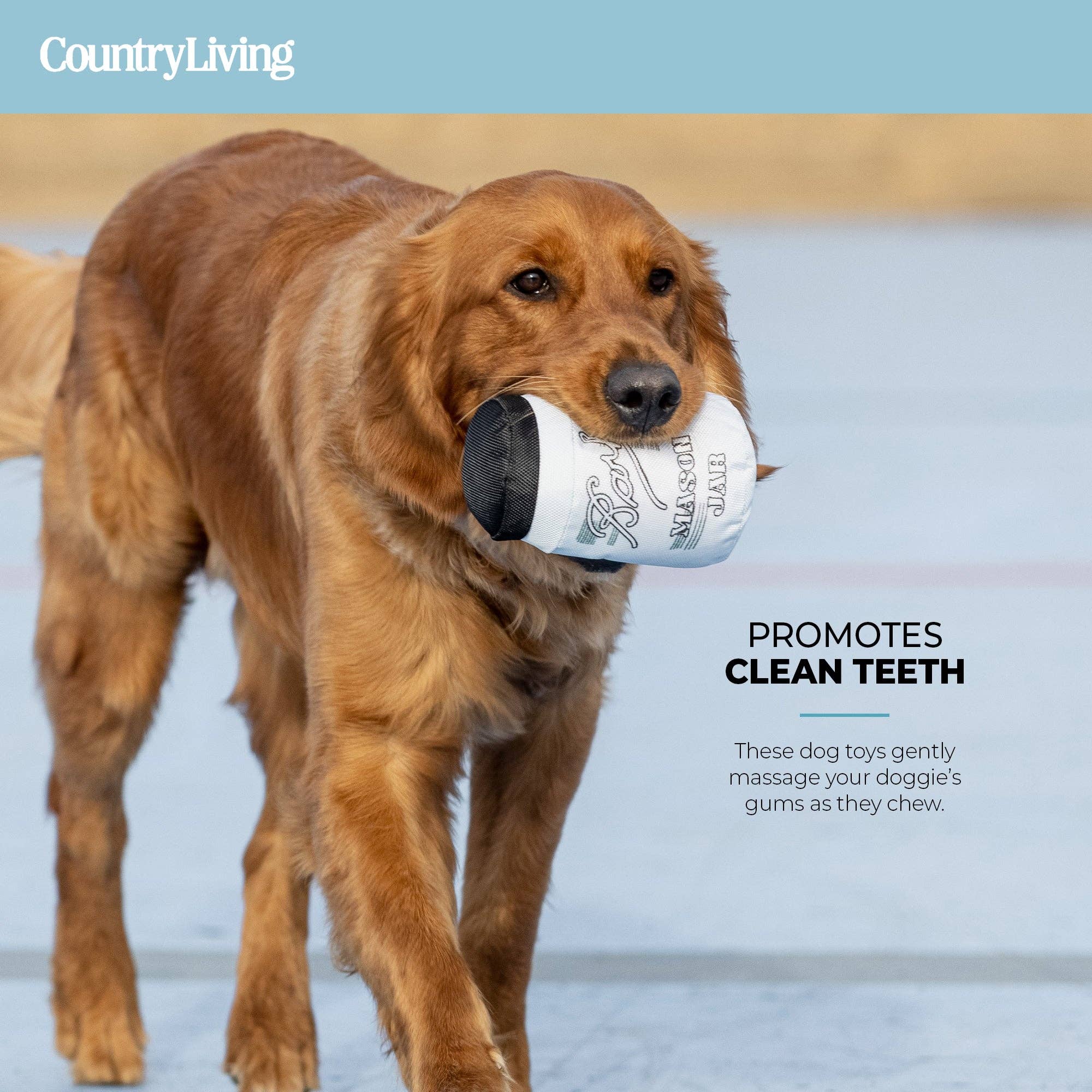 Silver Paw - Vente Set de jouets – chien - Lot de 2 jouets pour chiens Fish & Mason Jar7