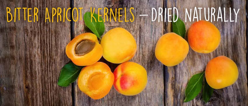 Ancient Purity – wholesale Loose tea – Apricot Kernels - 250g | Hunza Pakistan | Bitter2