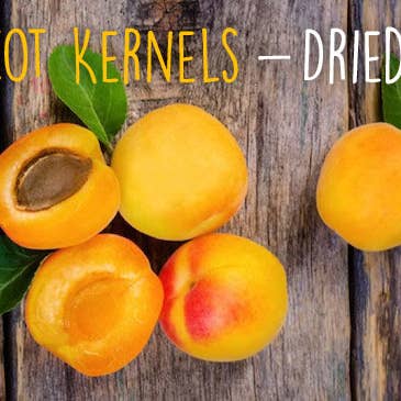Ancient Purity - Wholesale Loose tea - Apricot Kernels - 250g | Hunza Pakistan | Bitter2