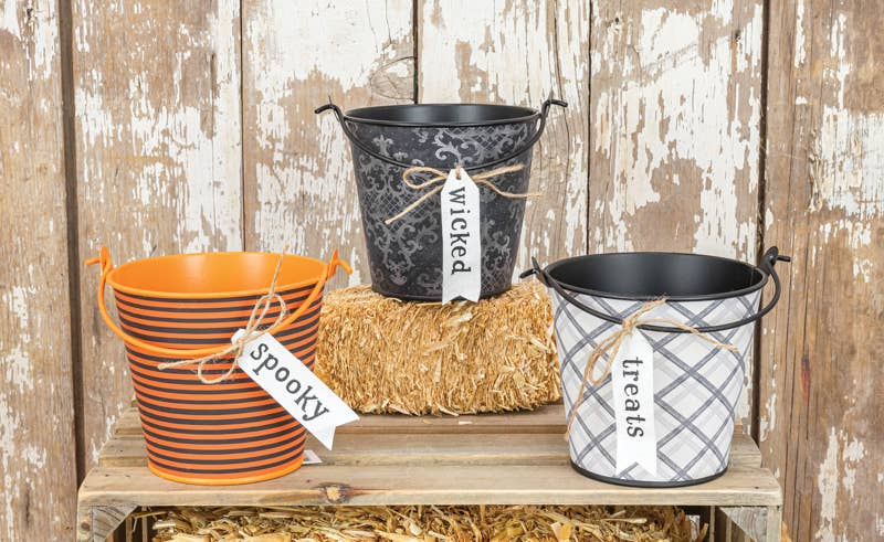 Hanna's Handiworks - Wholesale Bucket/Pail - Halloween Bucket, 3 Assorted