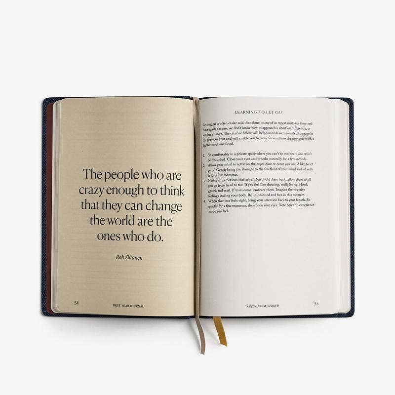 Intelligent Change - Wholesale Journal/Diary - Best Year Journal Blue | Guided 12-month planner goals5