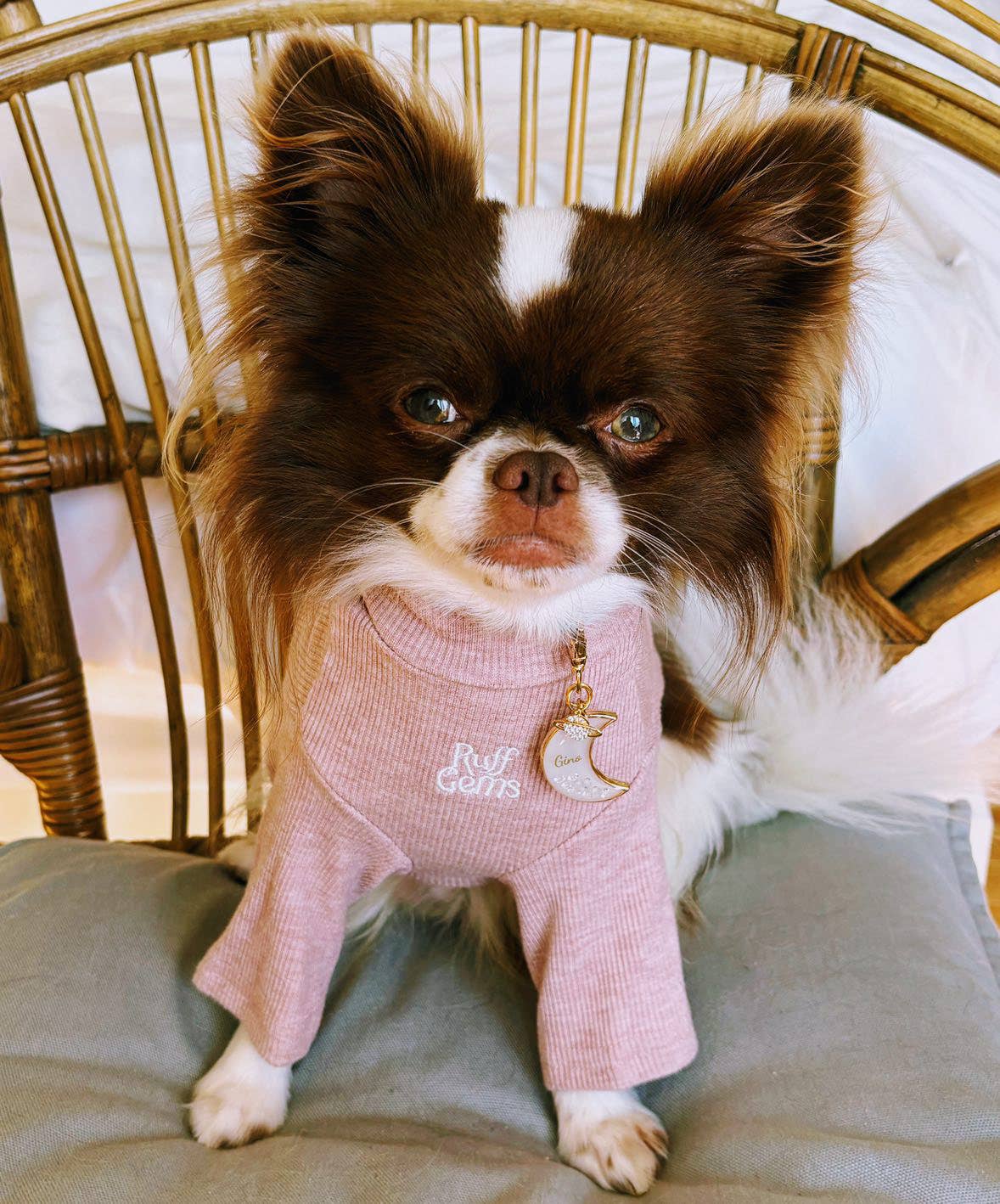 Ruff Gems Co - Wholesale Pet Shirt - Dog - Ultra Comfortable Luxury Dog Ribbed Stretch T Shirt11