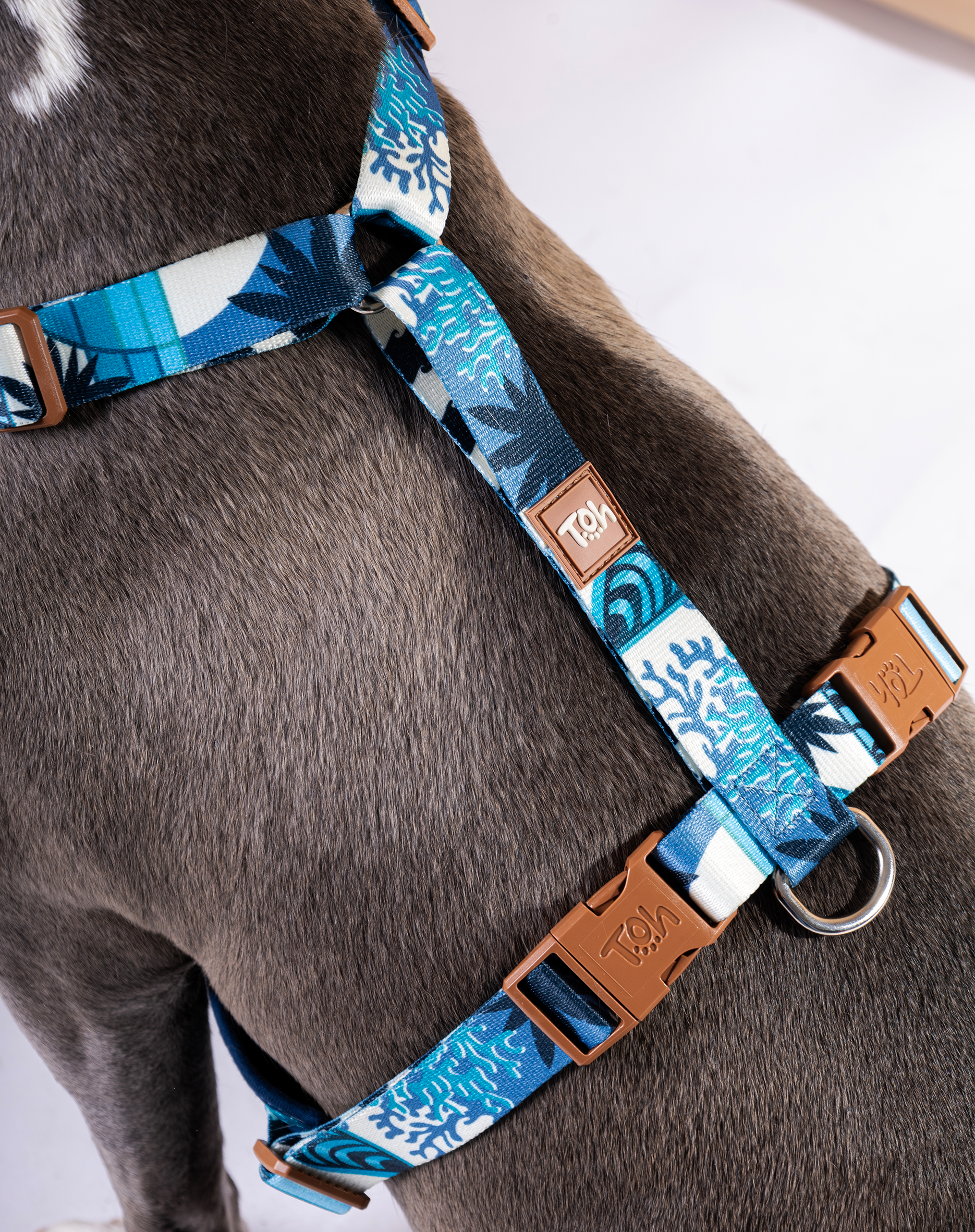 Toh - Wholesale Pet Harness - Dog - H-Mesh Dog Harness Noronha3