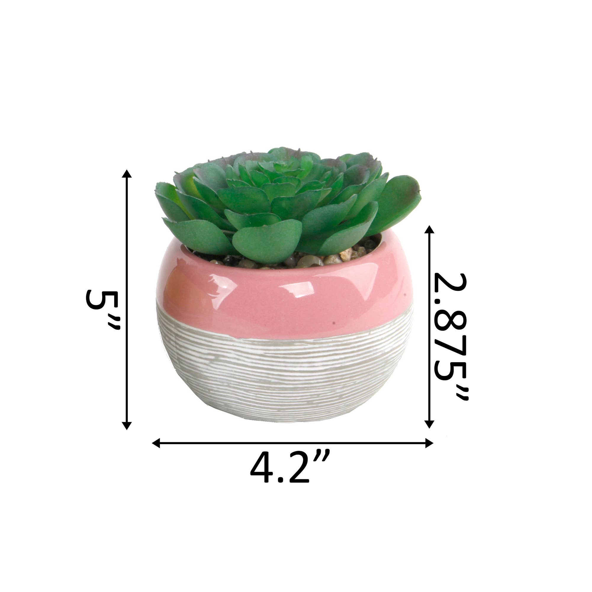 Flora Bunda Inc - Wholesale Succulent - Faux Succulent in Ceramic Bowl Planter4