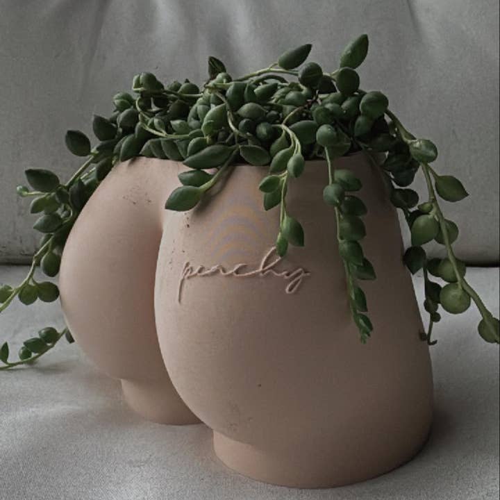 Peachy Pilea - Wholesale Plant Pot - Peachy Tattoo Cheeky Planter | More Colors Available2