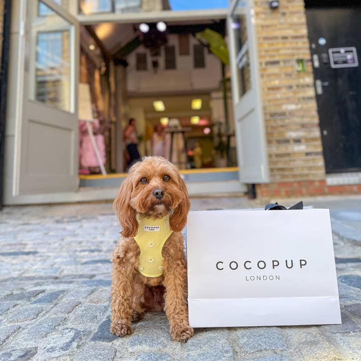 Cocopup London - Wholesale Pet Harness - Dog - Buttercup Pup Adjustable Neck HARNESS28