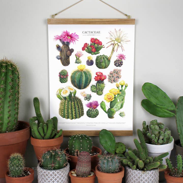 Aaron Apsley Artwork – Engroshandel Kunsttryk – Blomstrende Kaktus Arter Print