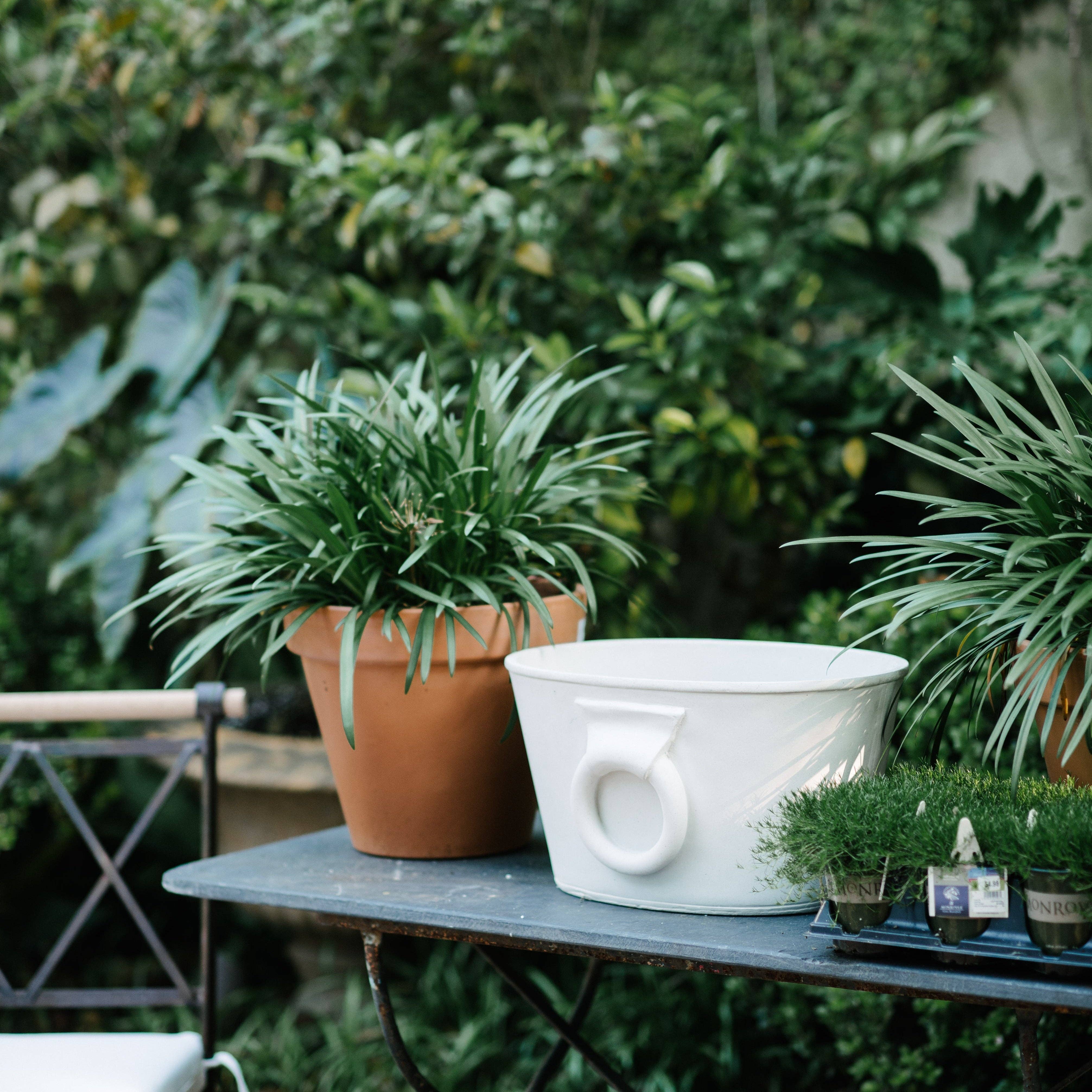 House Parts, Inc. - Wholesale Plant Pot - Etruscan Planter1