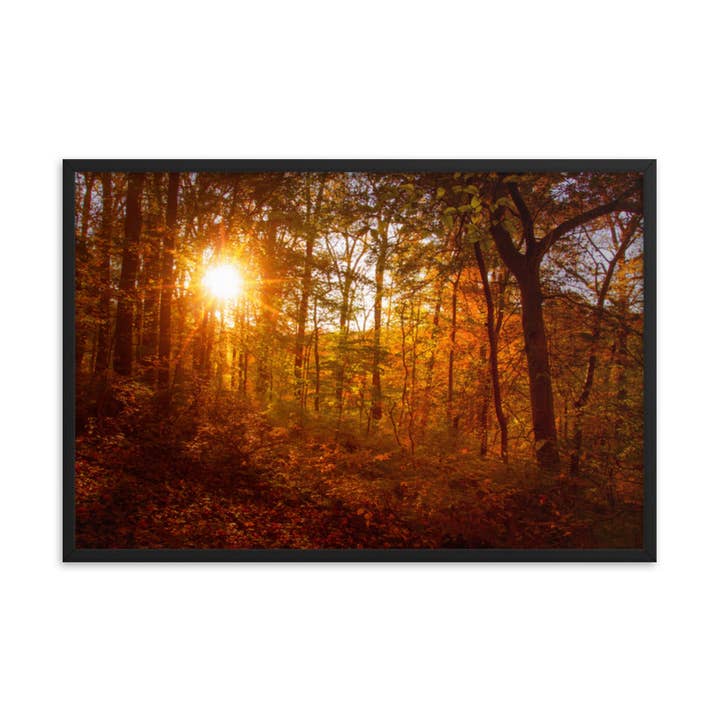 Coucher de soleil d'automne dans les arbres, paysage rural, art photographique encadré pour la vente par Pipa Wall Art & Home Decor
