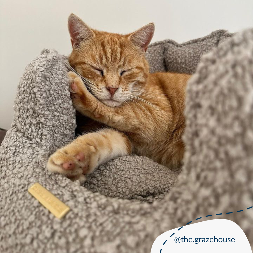 Lords and Labradors – wholesale Pet bed – Cat – High Wall Bed For Cats in Bouclé12