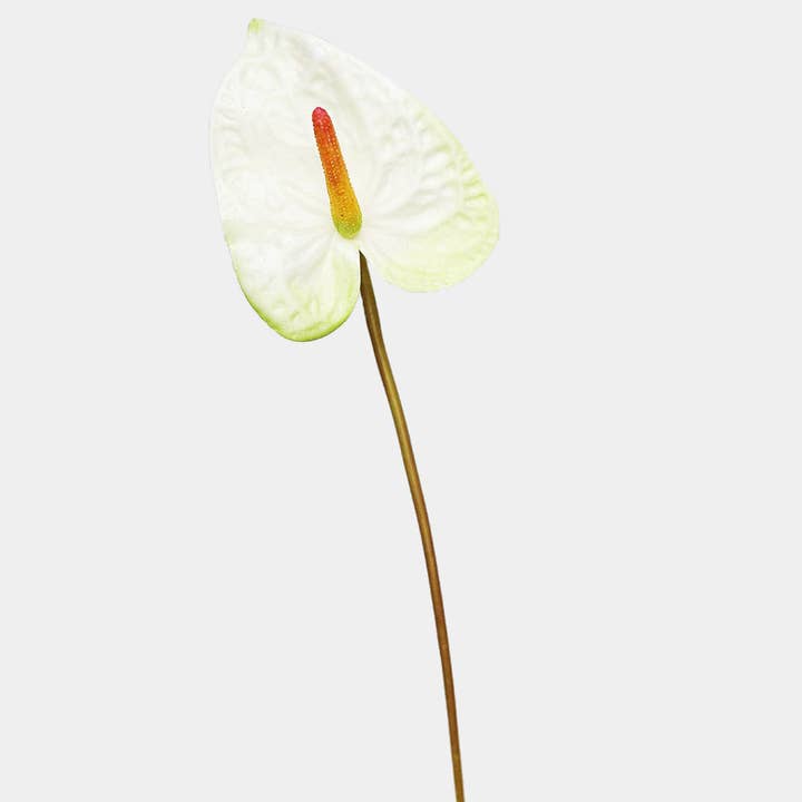 Prestige Botanicals - Wholesale Artificial flowers - Painters Palette Anthurium 22"0