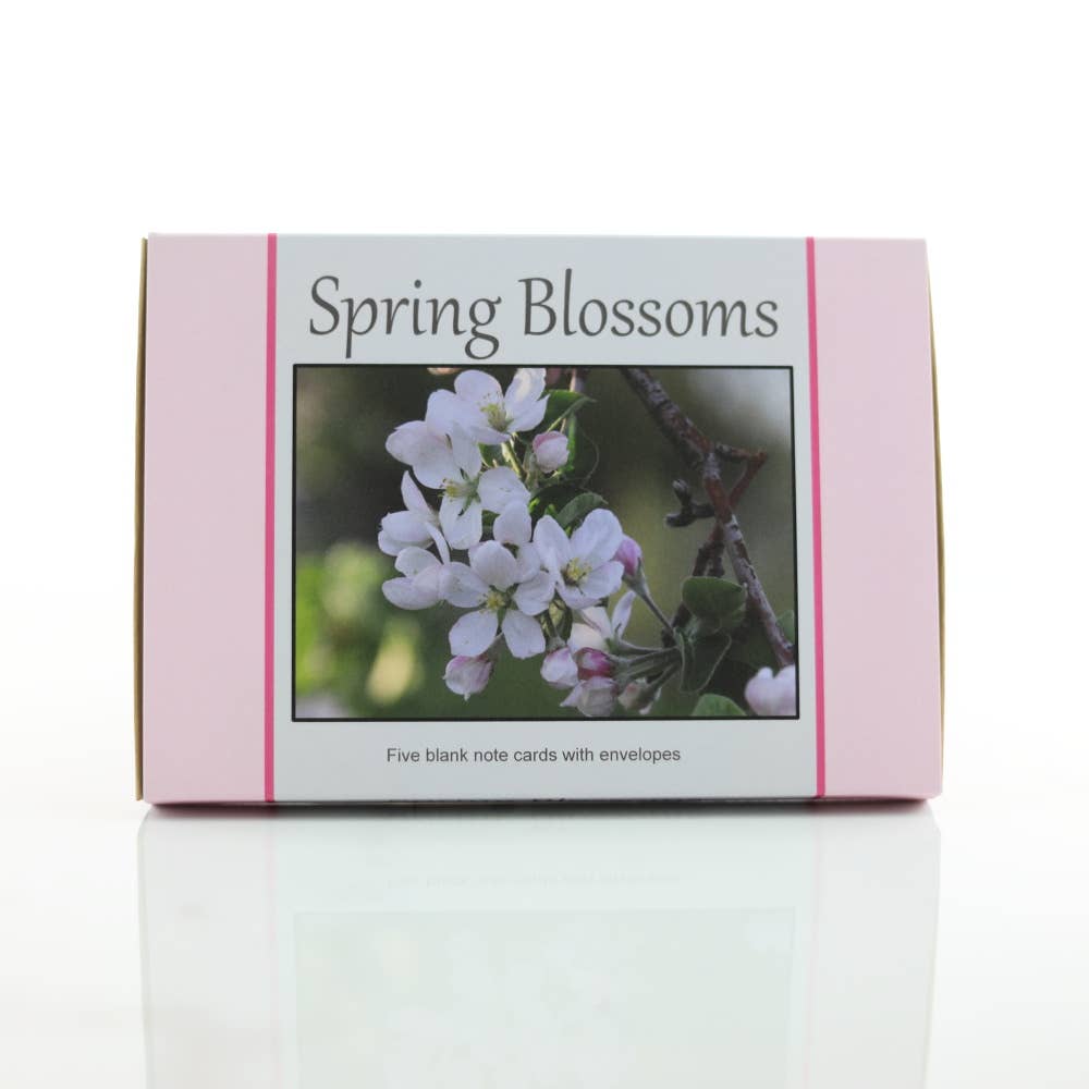 New England Prints - Wholesale Stationery/Notecard Set - Box of 5 All Occasion Spring Blossom Blank Note Cards3