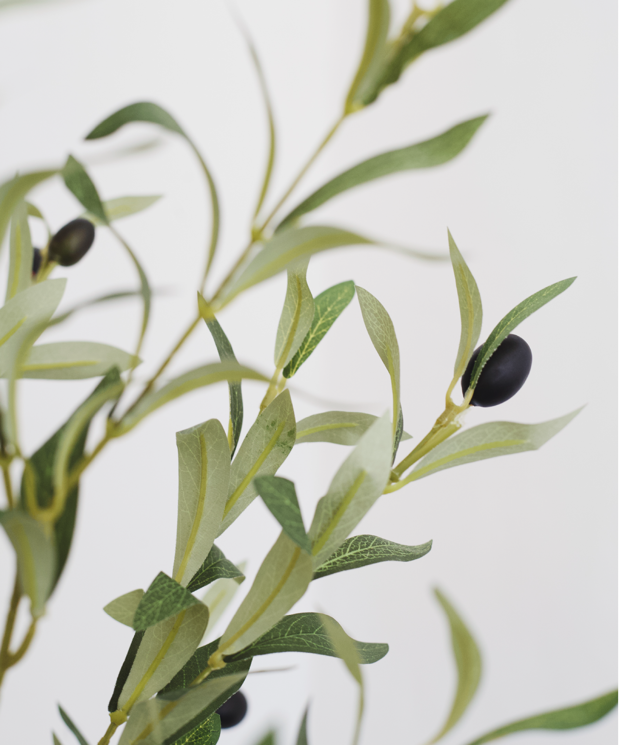 Maia Shop: No Duties for the US - Vente Plantes artificielles - Arbre d'olivier artificiel minimal de 1,5 m2