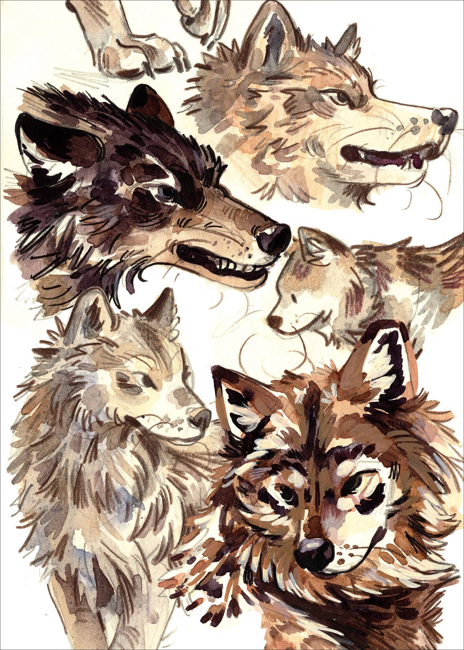 JelArts - Wholesale Art Print - Wolves - Sketchbook Print0