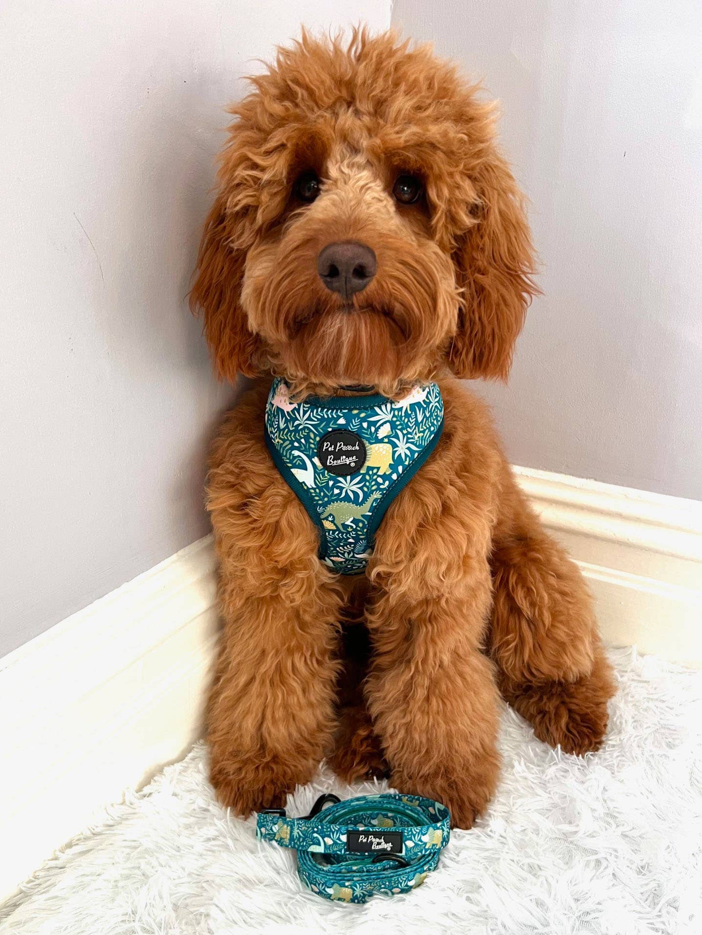 Pet Pooch Boutique - Wholesale Pet Harness - Dog - Dino Rawr Dinosaur Dog Harness With Optional Bow Tie2