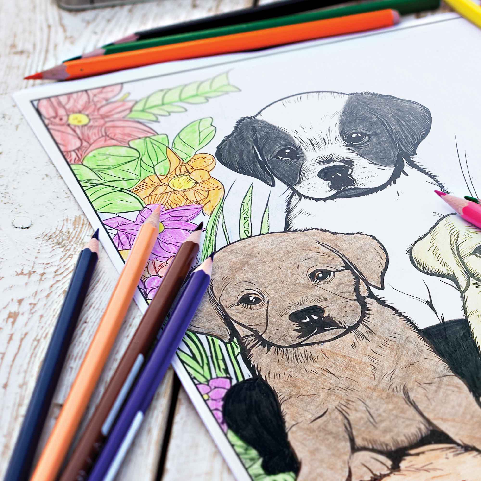 Pop Colors Colored Pencils and Coloring Sheets – wholesale Painting/drawing – Canine Colors Colored Pencil Set for Dog Lovers6