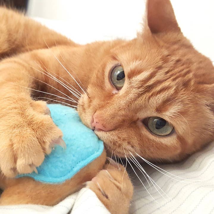 Miso Handmade - Wholesale Pet Toy - Cat - Kitty Donut with Bell1