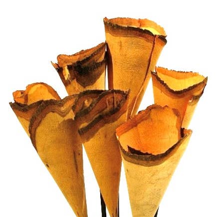 Botanico Ltd. – wholesale Artificial flowers – Wood Cones6