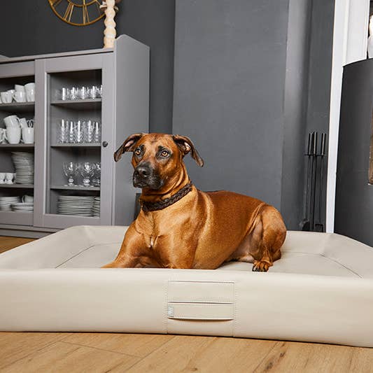 ammi for Dogs - Wholesale Pet Bed - Dog - Ammi® Bed Synthetic Leather Orthopaedic Dog Bed4