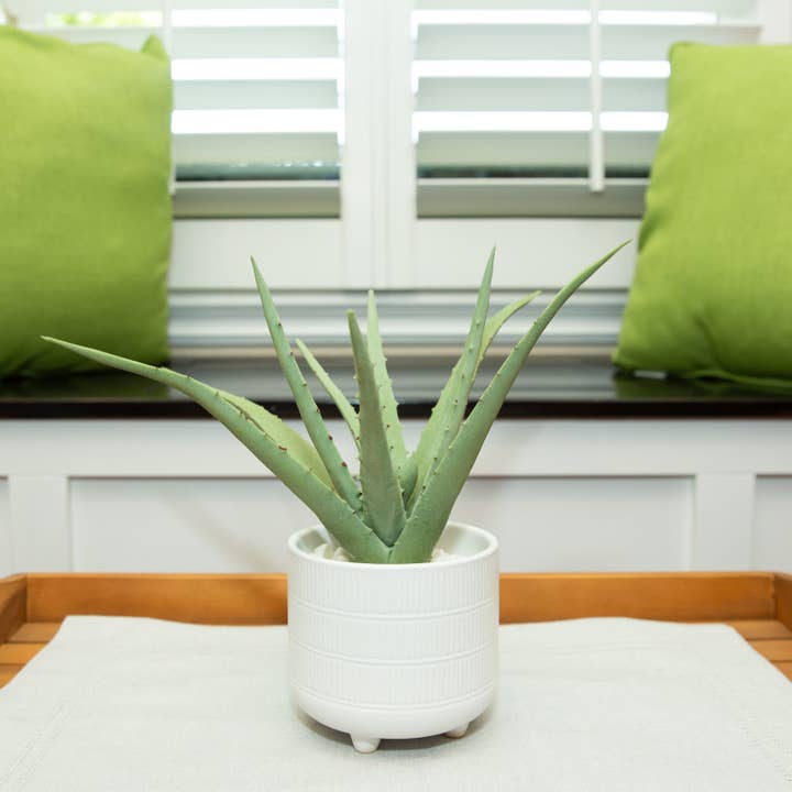 Flora Bunda Inc - Wholesale Artificial Plant - Faux Aloe Plant in White Ceramic Pot – 10.75 Inch Accent3