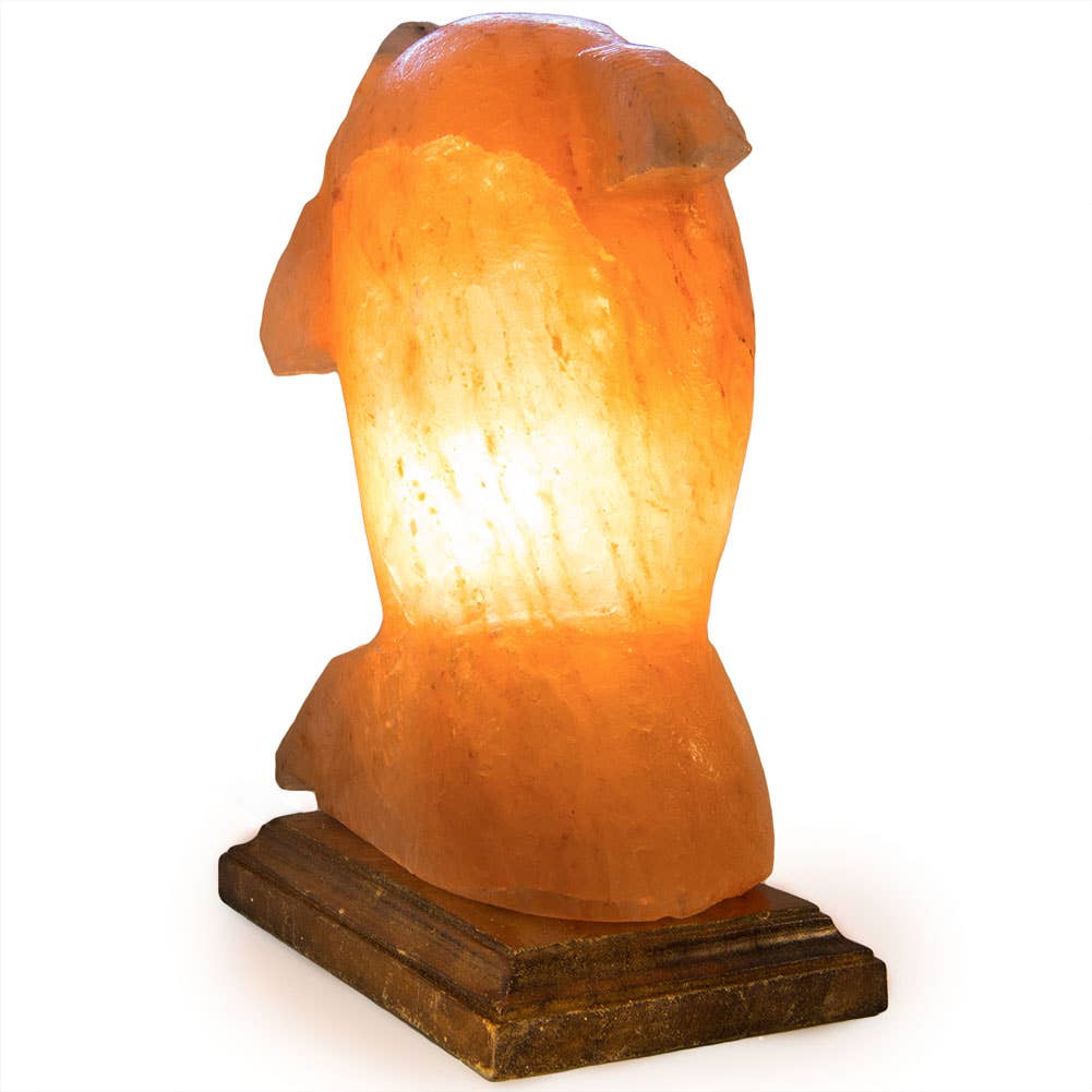 Fantasia Mining – wholesale Saltlampa – Delfinformad saltlampa - 10" genomsnitt. - sladd, glödlampa, dimmer4