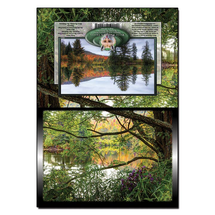 #3013 Coffin Pond Notecard for wholesale by White Mountain Images
