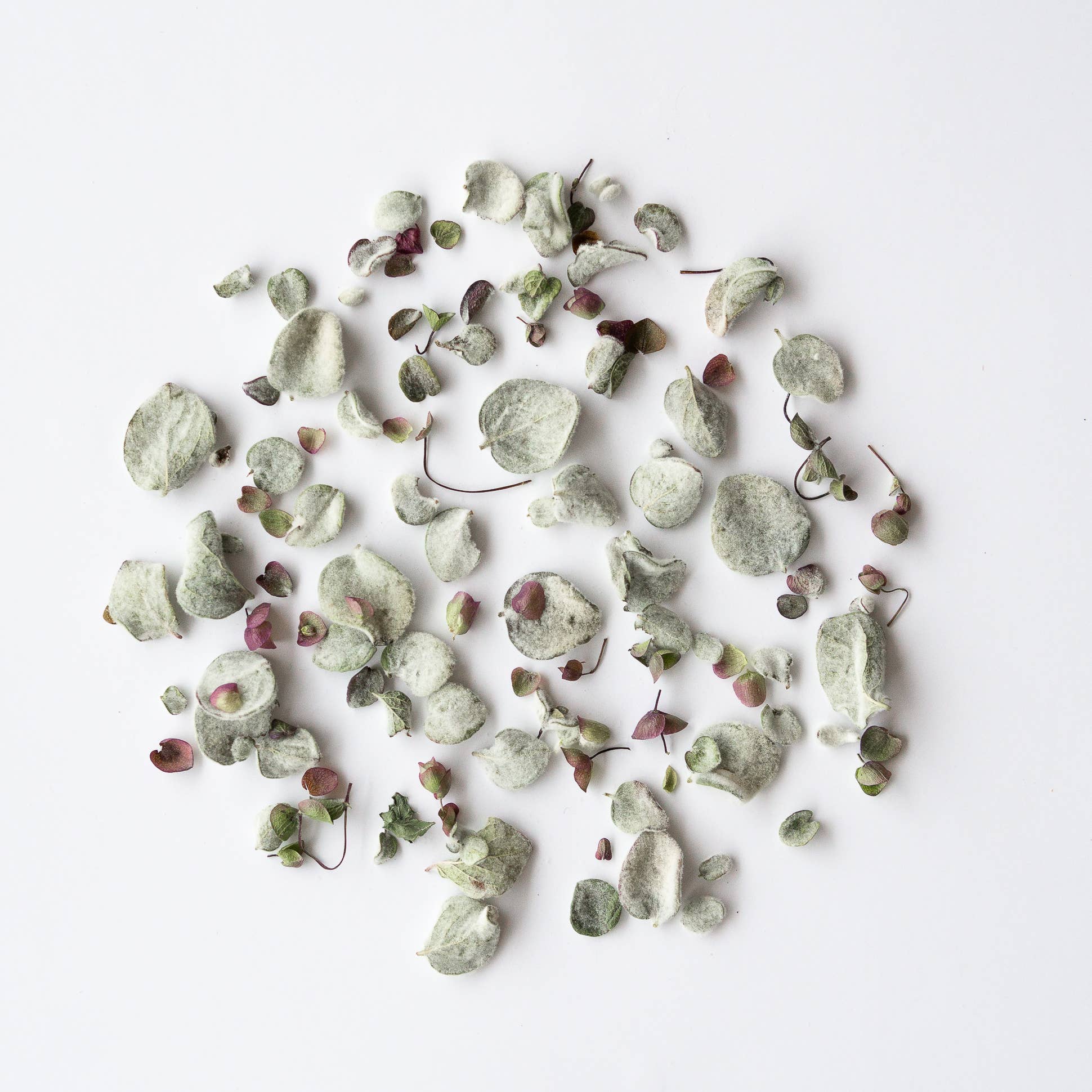 rhoeco - fine organic goods - Vente Thé en vrac - Grandes Sacs de Thés Bio en Vrac11