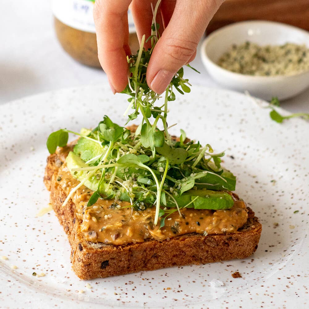 Forty Thieves – wholesale Nötsmör – Superfood smör; hampa, nötter + Frön - 500g1