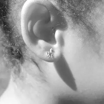 Semaki & Bird - Vente Clous d'oreille - Boucles d'oreilles clous cheval et fer à cheval argent Natural History4