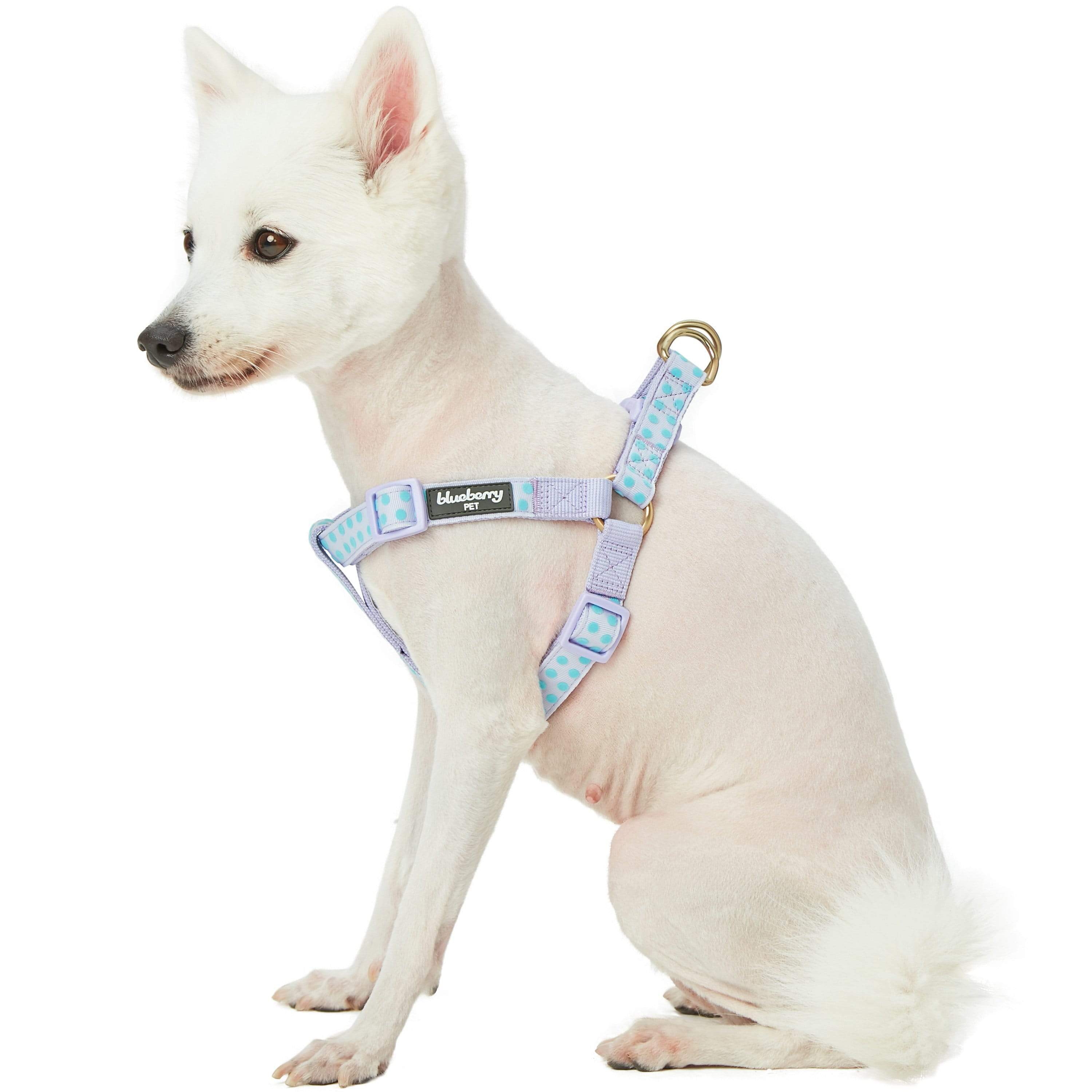 Blueberry Pet - Vente Harnais – chien - Harnais floqué à pois en velours pour chien6