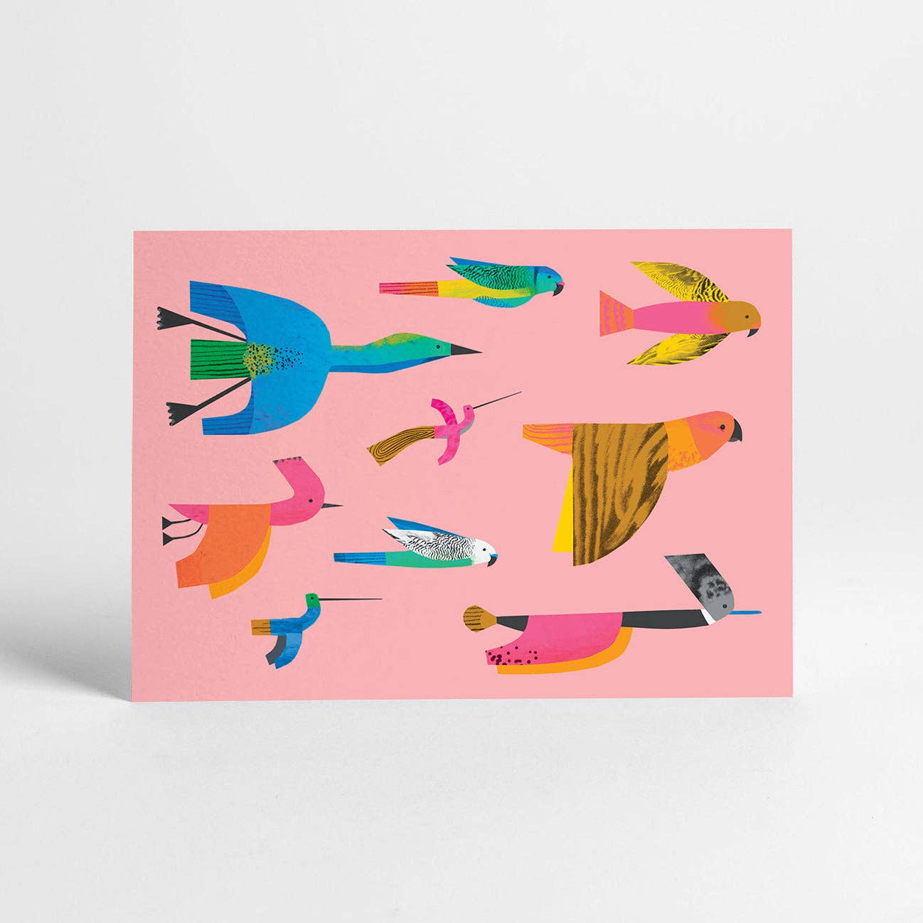 Sunny Beast - Venta al por mayor Juego de postales - 20 postales | Set en caja9