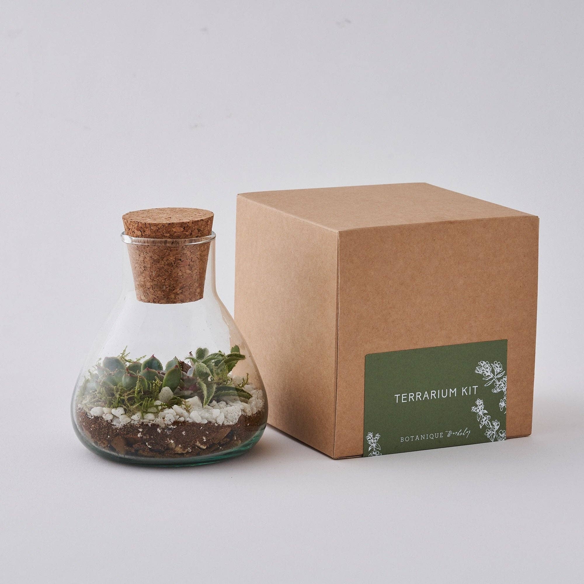 Botanique Workshop - Wholesale DIY Craft Kit - Terrarium Making Kit0