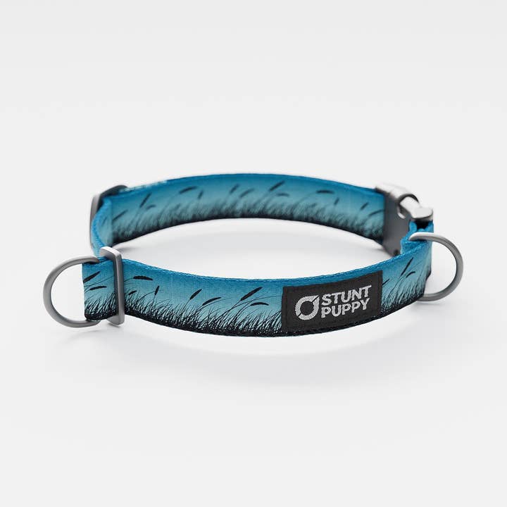 Marsh Blue Everyday Collar for wholesale by Stunt Puppy