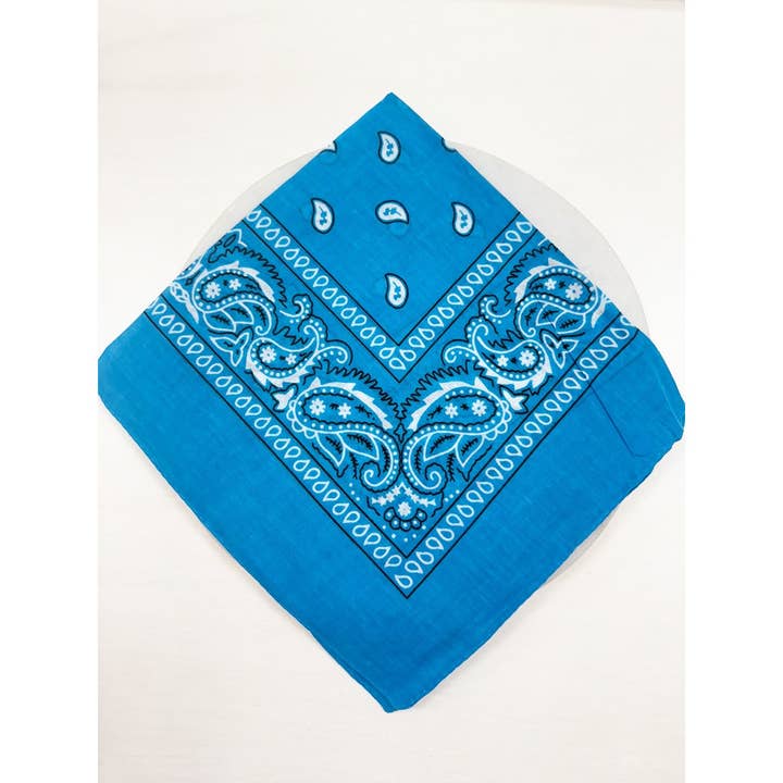 BLUE Pasley Pattern Bandanas for wholesale on Faire1