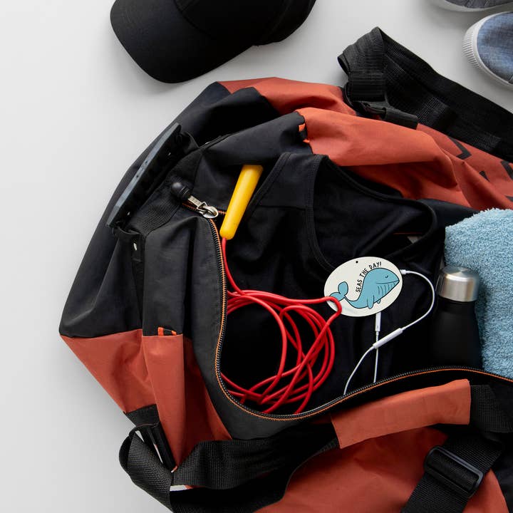 Eterna Goods - Wholesale Air Freshener - Seas The Day (2-Pack) Punny Air Freshener - Ocean Scent3