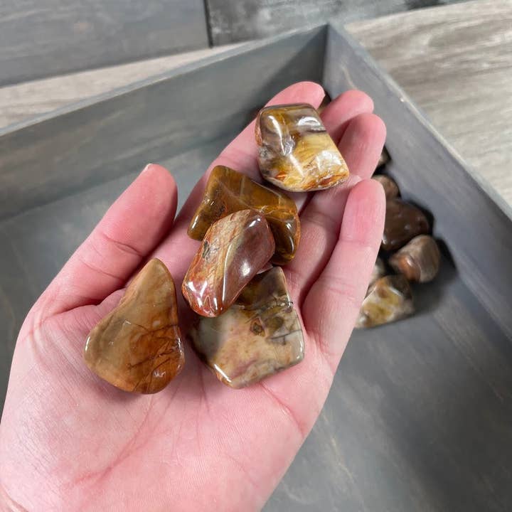 Tumbled Petrified Wood by the Pound – Bulk Crystals for wholesale by Keystone Crystals