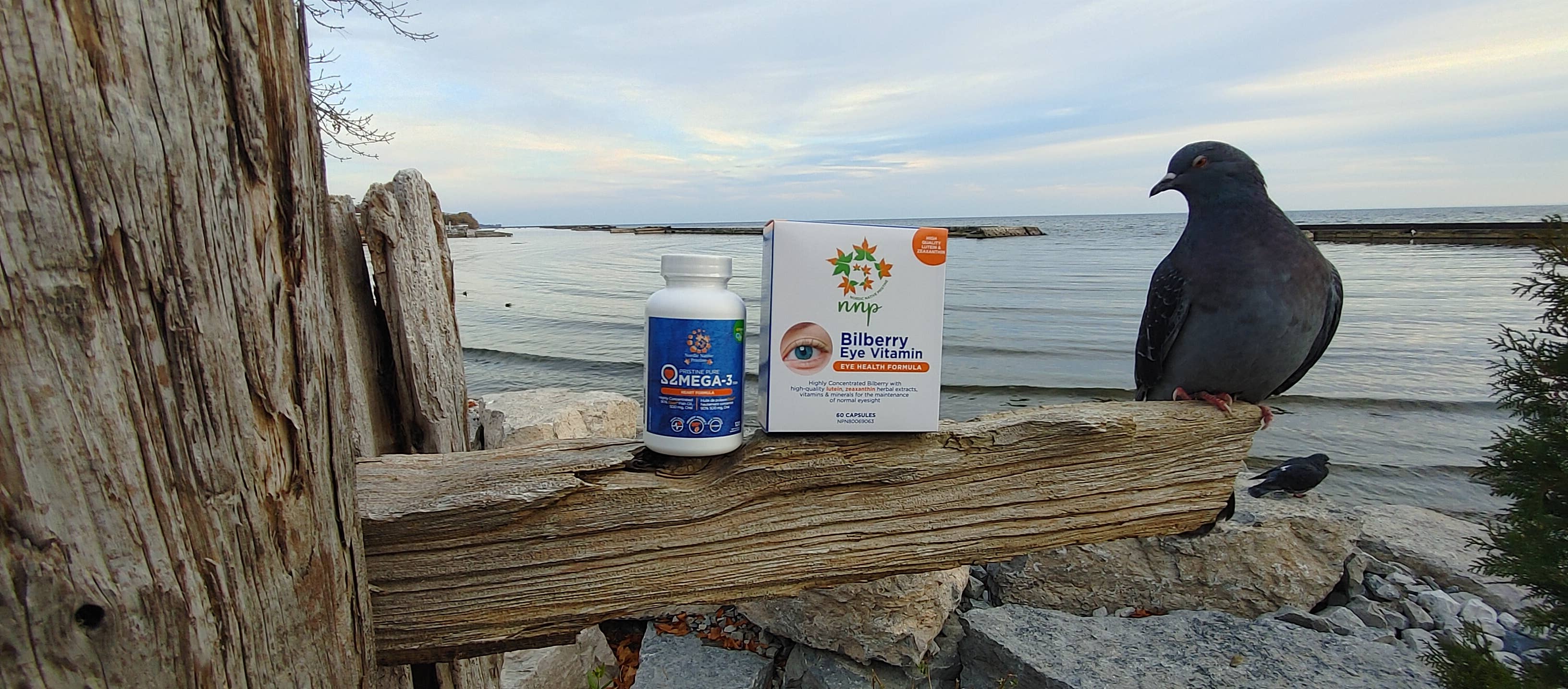 Nordic native pristine – wholesale Oral supplement/vitamin – Pristine pure Epax Omega 3 with 90% concentrate,TGN form18