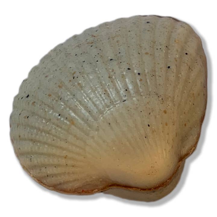 Les Coques de Cabourg - Wholesale Chocolate Box - Les Coques de Cabourg3