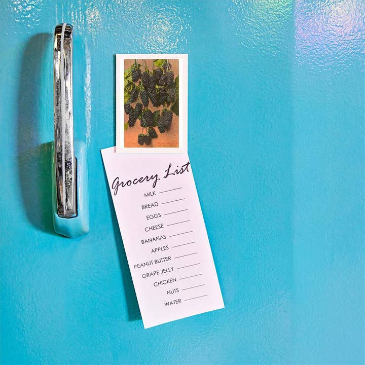 Found Image Press - Venta al por mayor Imanes - Imán FR-29 Moras1