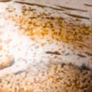 Jasper for wholesale by Northern Prairie Candle Company