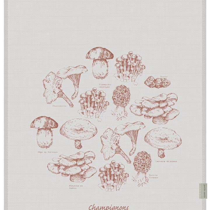 cogumelos por atacado de Petits Mots